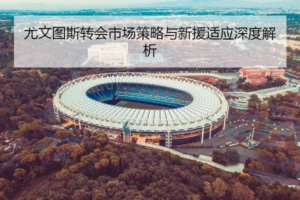 尤文图斯转会市场策略与新援适应深度解析